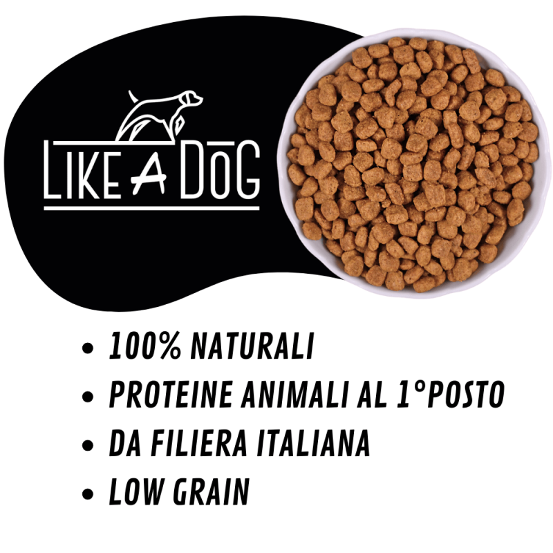 Like A Dog Low Grain Lamb Medium Large per Cani Nuova