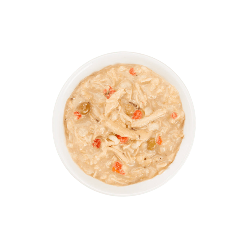 Schesir Taste of the World Cibo Umido per Cani Offerte esclusive
