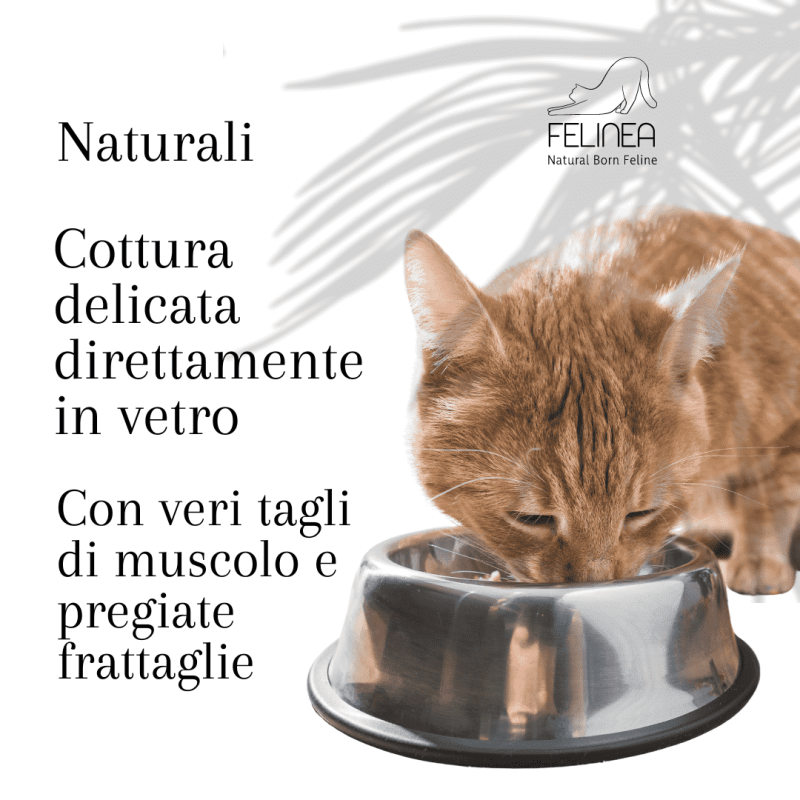 Felinea Manzo Cibo Umido per Gatti Acquista Ora