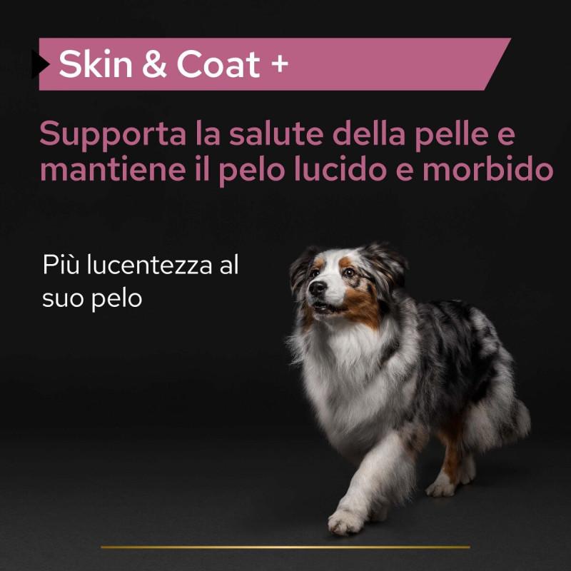 Purina Pro Plan Supplement Skin e Coat + per Cani Ultimo giorno