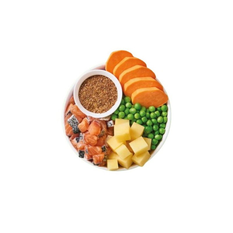 Lily's Kitchen Salmone e Patate Salmon Supper per Cani Sostegno trimestrale