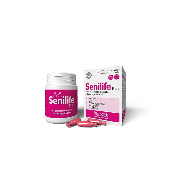 Innovet Senilife Plus per Cani e Gatti