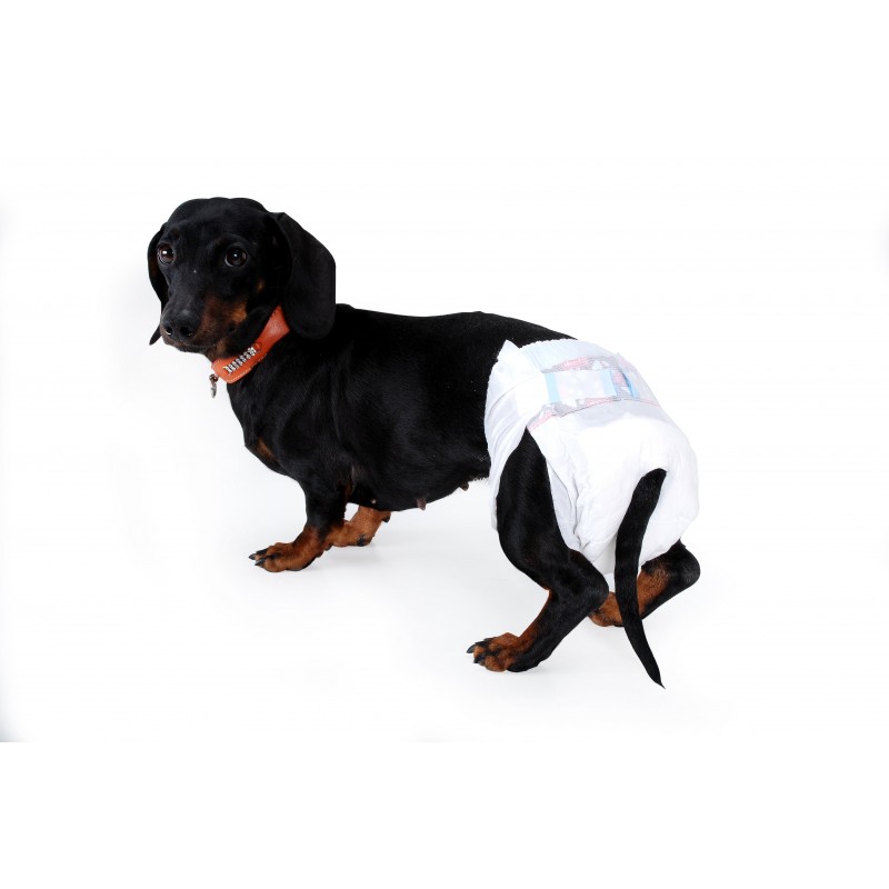 Pannolini Mutandina Monouso per Cani Sconto