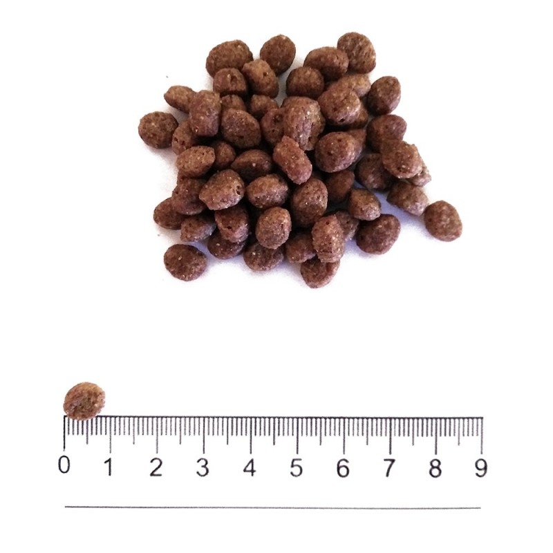 Prolife Smart Adult Mini con Pollo e Riso per Cani Prezzo basso