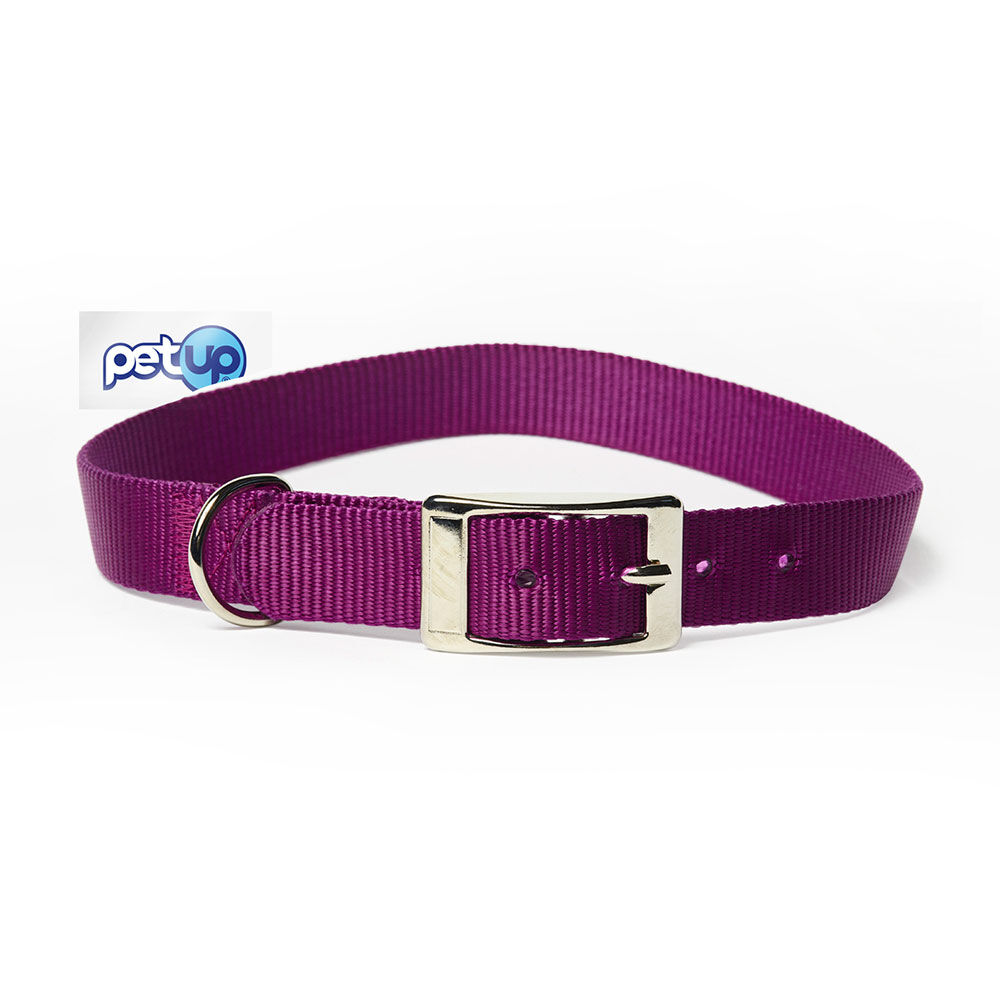Petup Collare nylon 25 x 600 mm viola 000152658