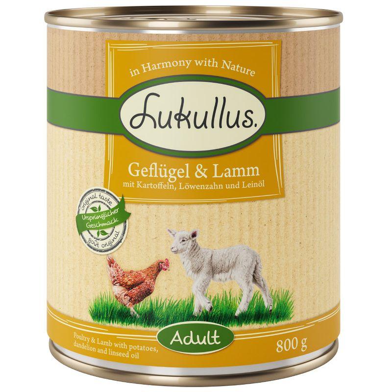 Bitiba Lukullus 24 x 800 g Alimento umido per cani 50% di sconto con spedizione gratuita