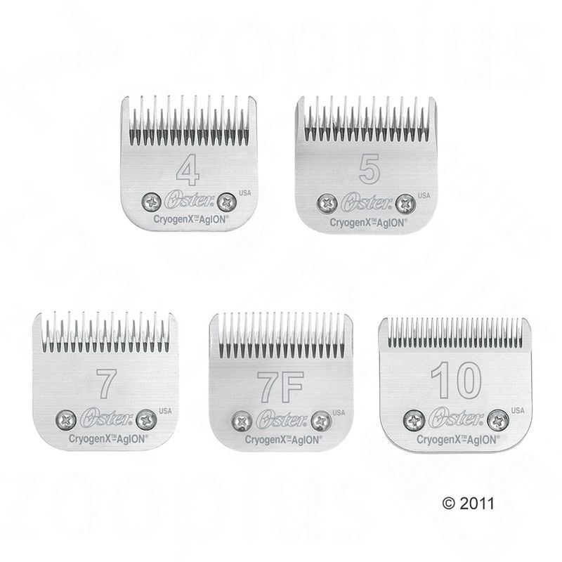 Bitiba Testa di taglio n° 7 Skip Tooth (3 2 mm) per Tosatrici Oster Affare Del Giorno