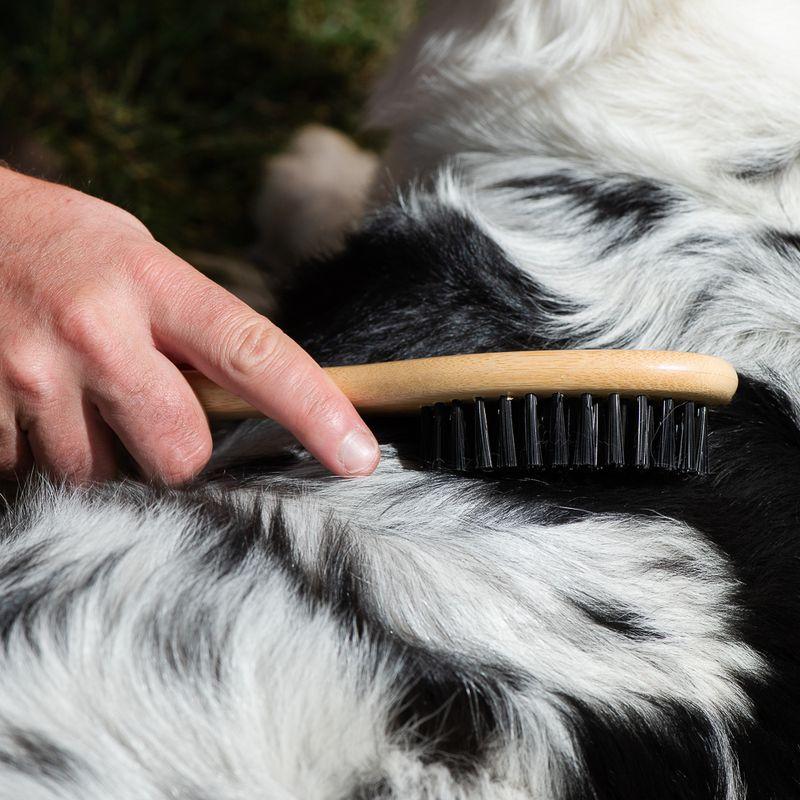 Bitiba kooa Spazzola in bambù per la cura del pelo Offerta