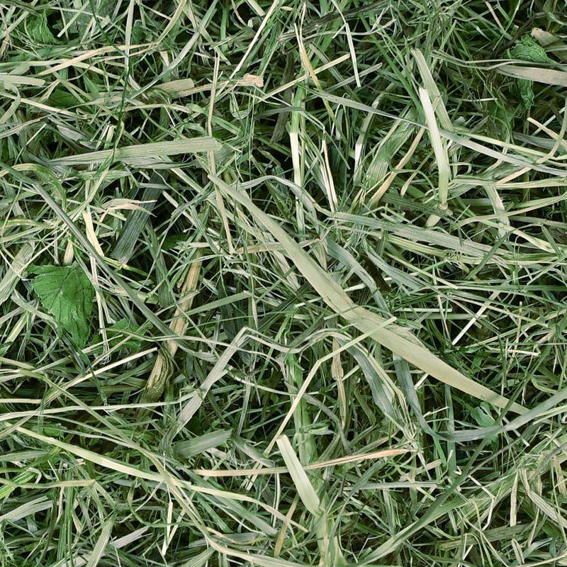 Bitiba Fieno di prato di montagna Chipsi Sunshine Bio Plus Offerta