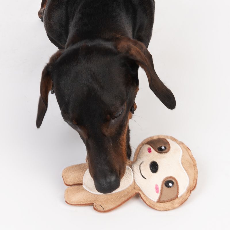 Bitiba Gioco TIAKI bradipo con Squeaky per cani Vendita Economica