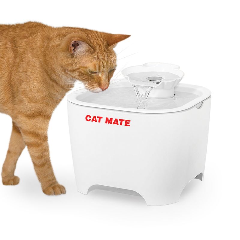 Bitiba Fontana Cat Mate Shell Negozio