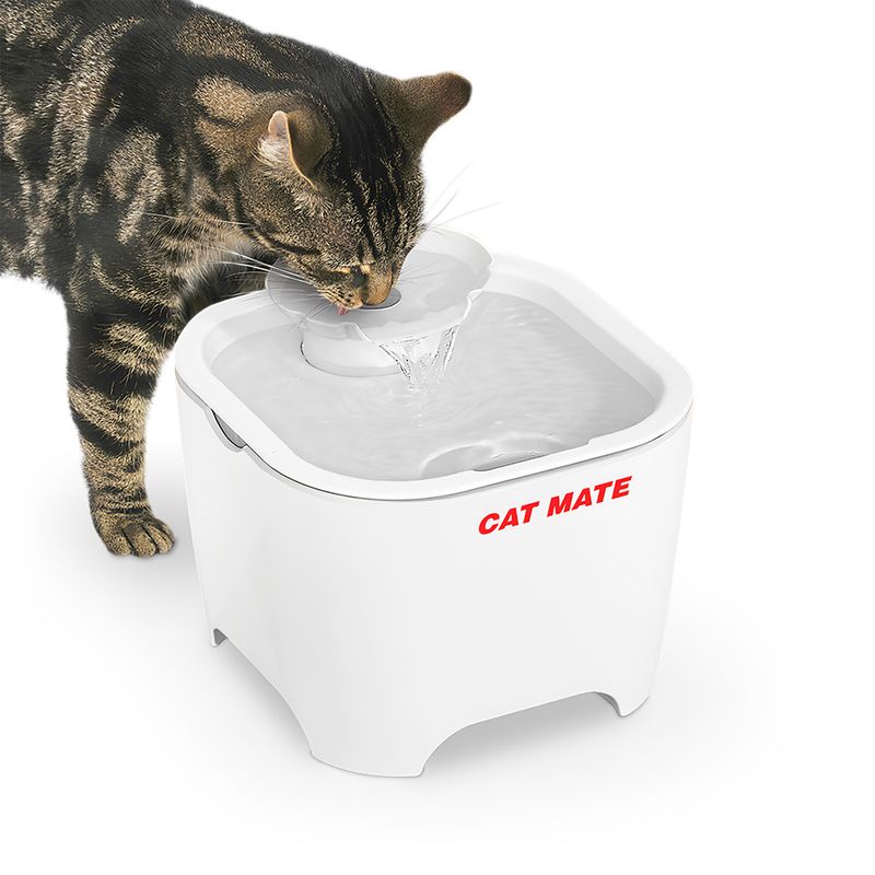 Bitiba Fontana Cat Mate Shell Negozio