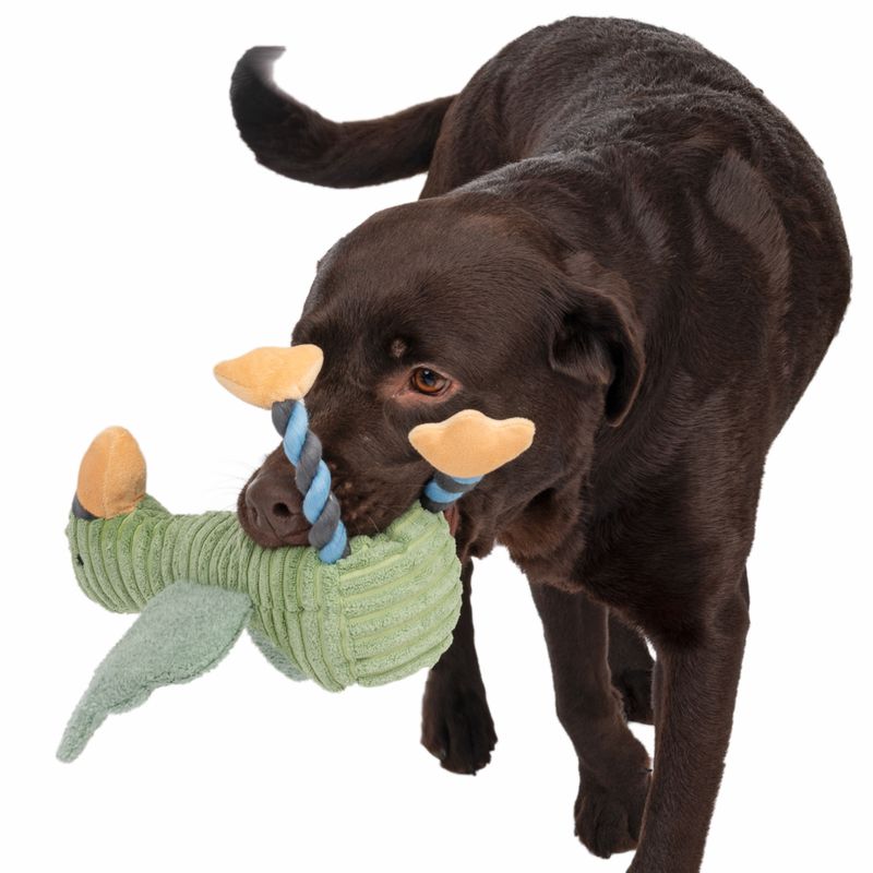 Bitiba Gioco per cani TIAKI Gabbiano Aral Vendita