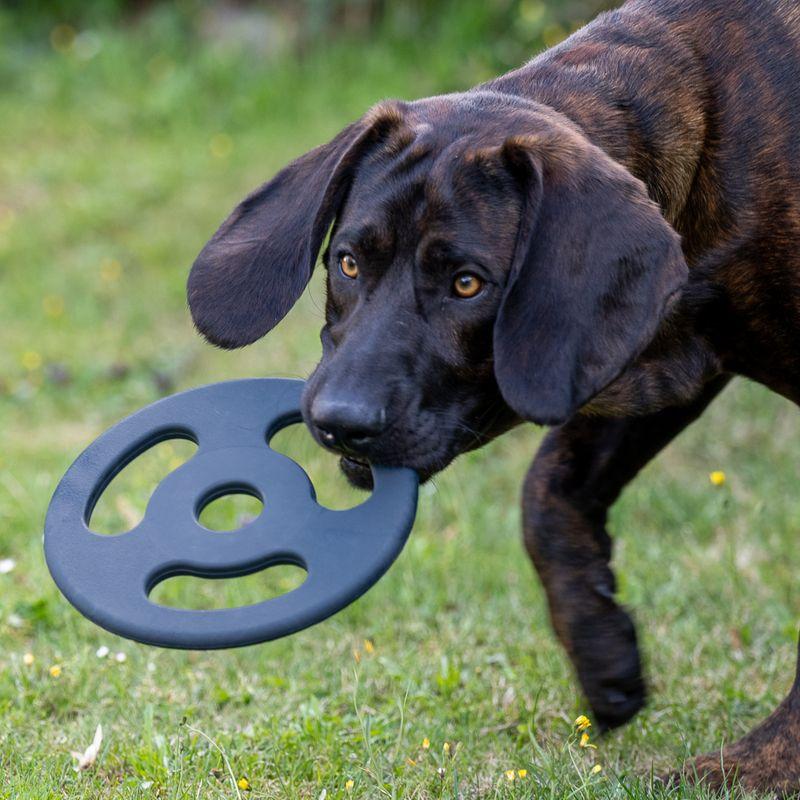Bitiba Gioco per cani Nomad Tales Bloom Ultra strong Frisbee Promozione