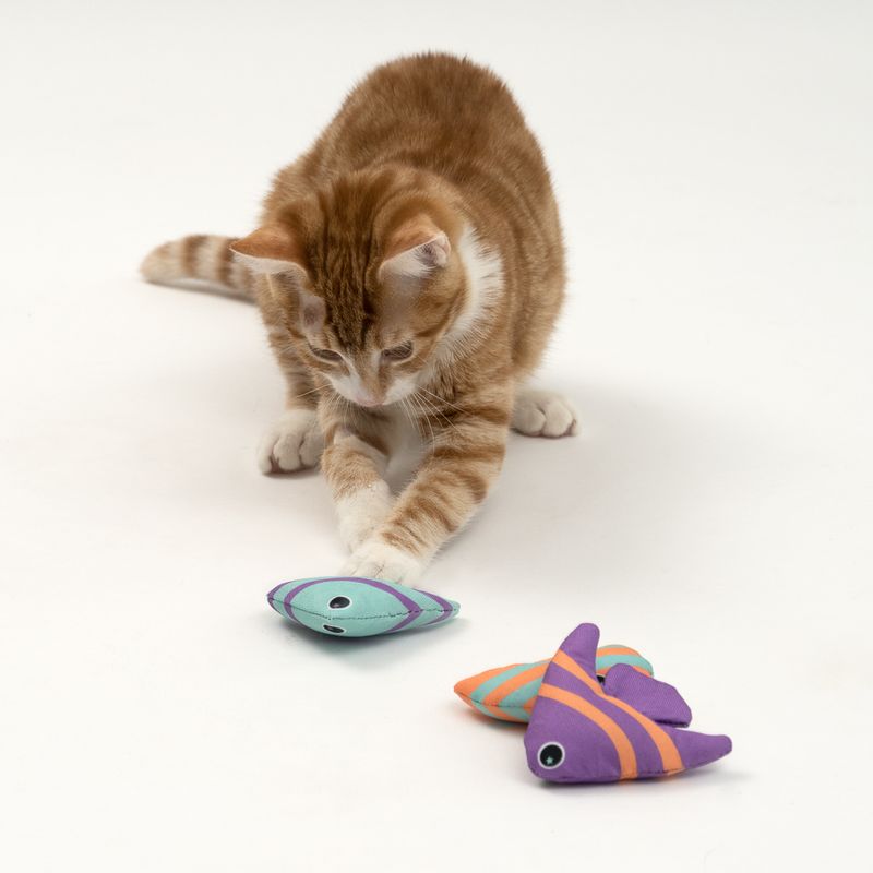 Bitiba Gioco per gatti TIAKI Pesci con catnip Soddisfazione Garantita
