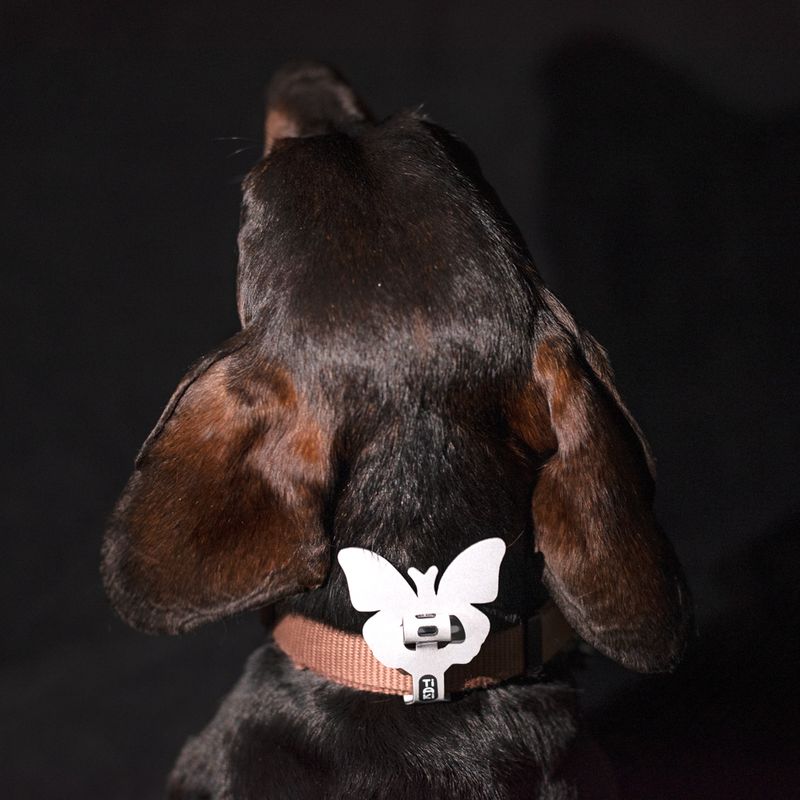 Bitiba Set figure riflettenti TIAKI per cane Consegna Veloce