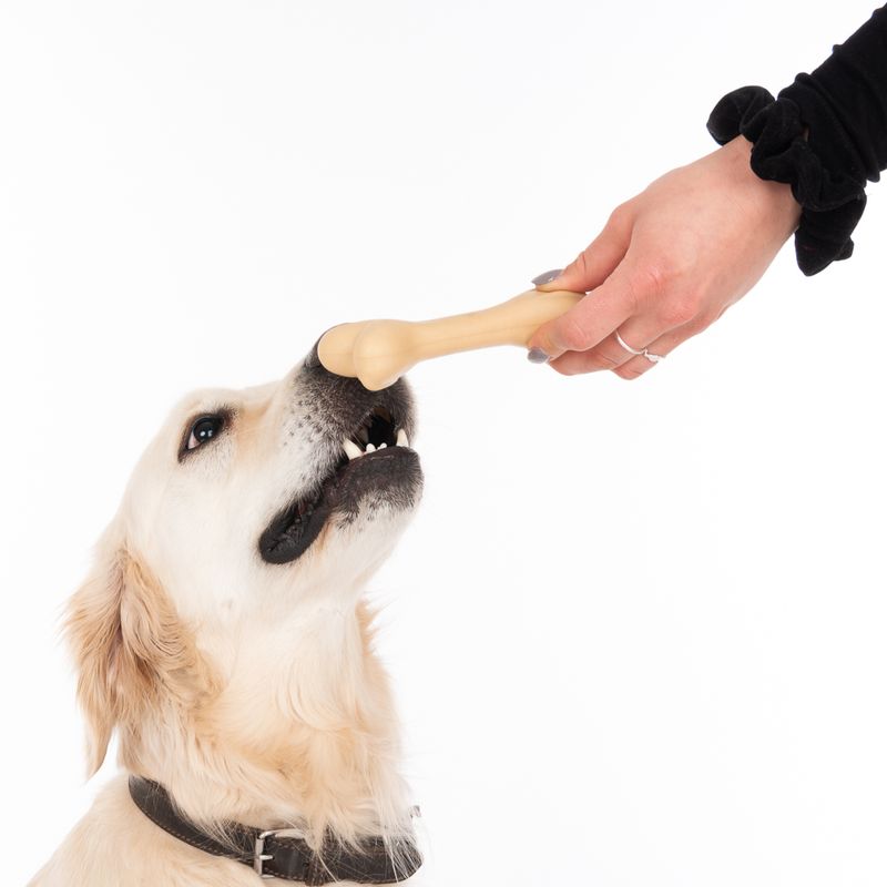 Bitiba TIAKI Osso in gomma Gioco per cane Promozione Limitata
