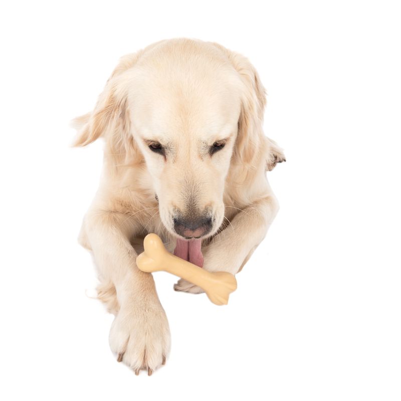 Bitiba TIAKI Osso in gomma Gioco per cane Promozione Limitata