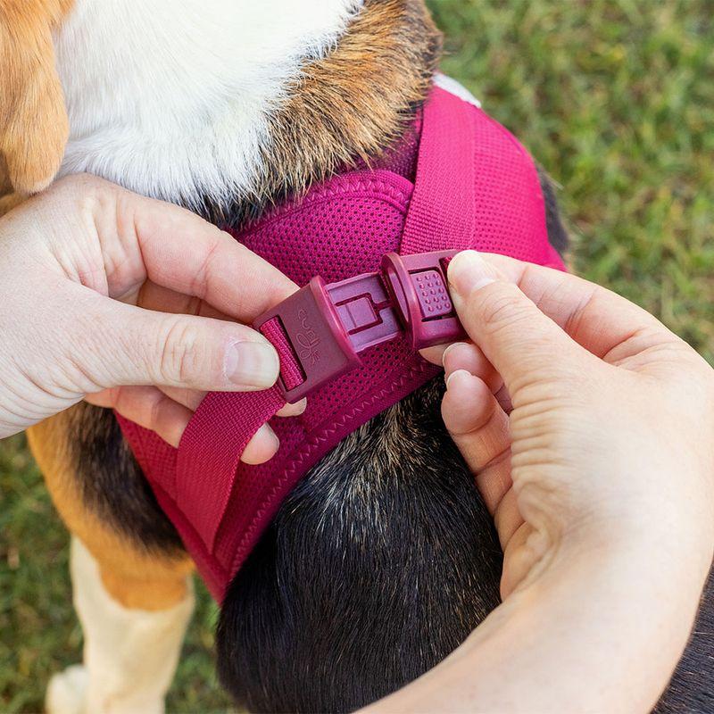 Bitiba Pettorina curli Vest Clasp Air-Mesh - fucsia Economico