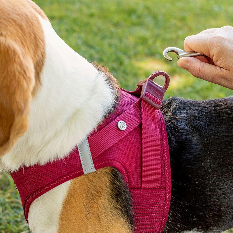 Bitiba Pettorina curli Vest Clasp Air-Mesh - fucsia Economico