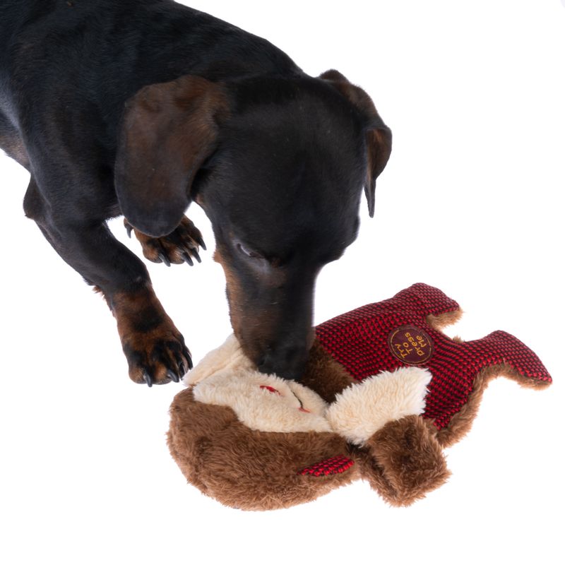 Bitiba Gioco per cani TIAKI Winkie Monkey Outlet