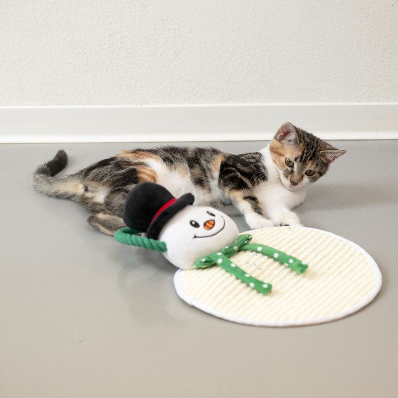 Bitiba Tappetino tiragraffi TIAKI pupazzo di neve in sisal Nuovo
