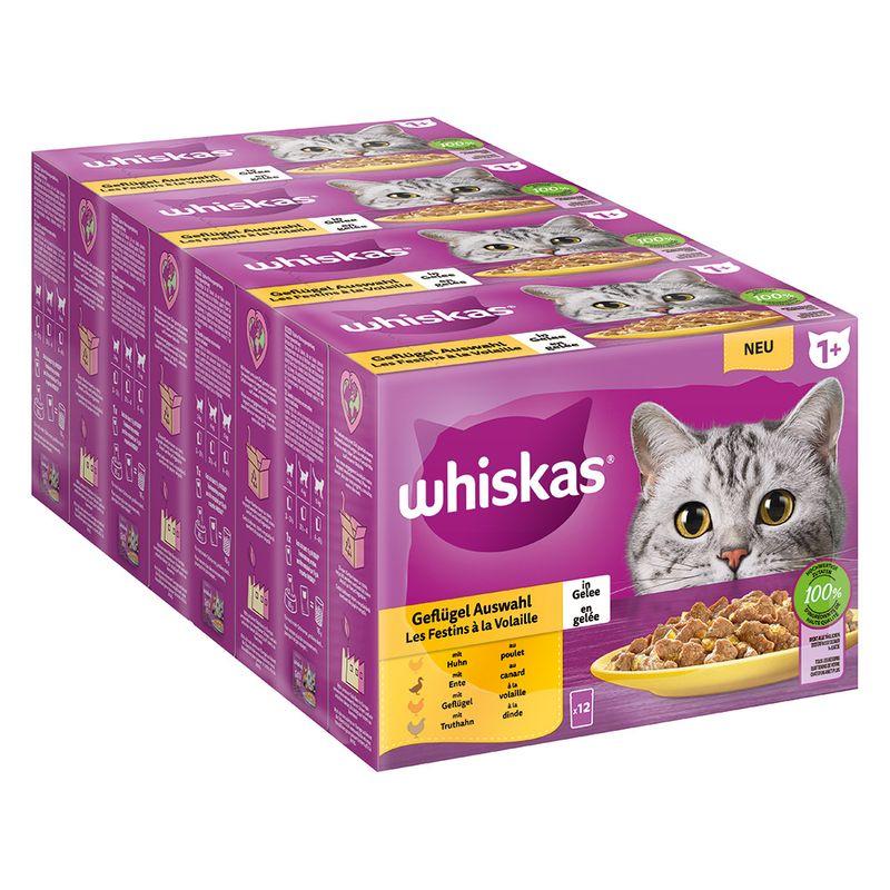 Bitiba Whiskas 1+ buste 48 x 85 g Alimento umido per gatti Saldi