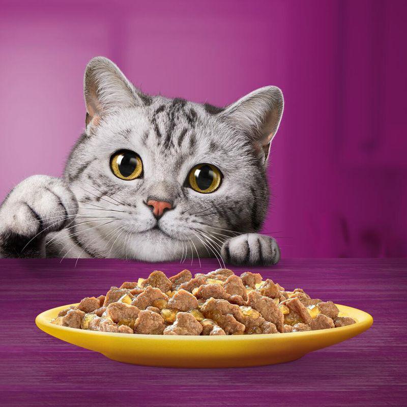 Bitiba Whiskas 1+ buste 48 x 85 g Alimento umido per gatti Saldi