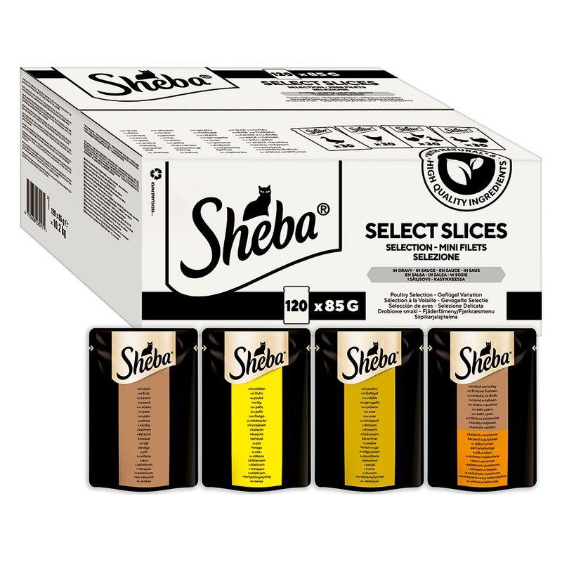 Bitiba Sheba Variazioni Buste 120 x 85 g Umido per gatto In Linea
