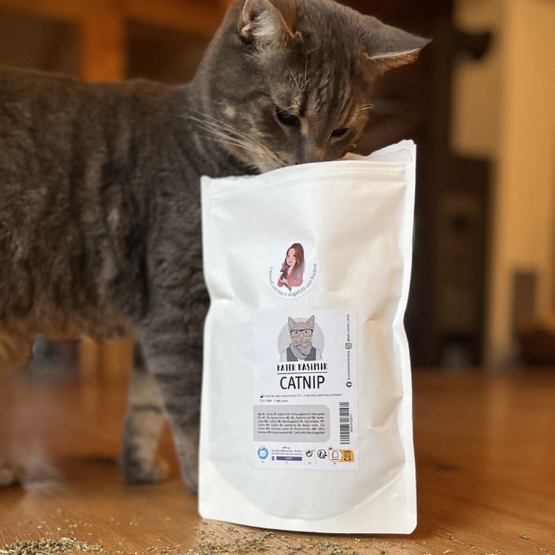 Bitiba Erba gatta Kater Kasimir Offerte