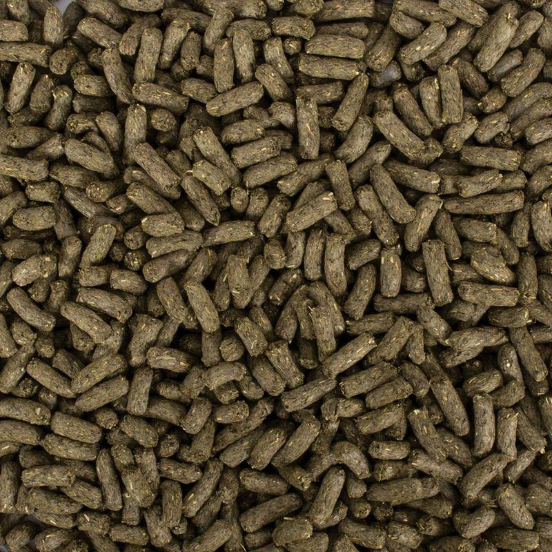 Bitiba Tropifit All in 1 Mangime per cincillà e degu Nuovi prodotti