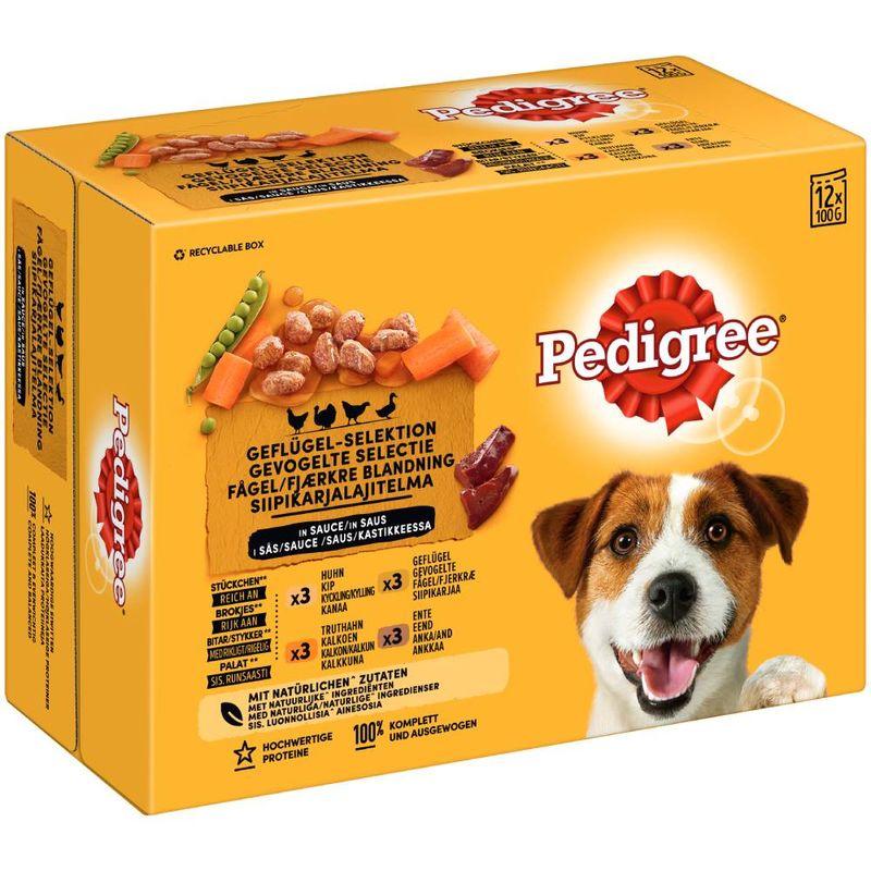 Bitiba Multipack Pedigree in Gelatina umido cane Ultimi due giorni