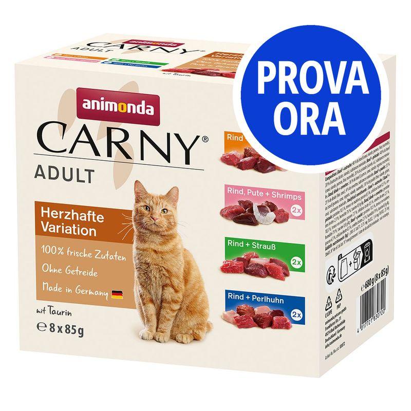 Bitiba Provalo animonda Carny Buste Multipack 8 x 85 g umido per gatti Fino al 50% di sconto
