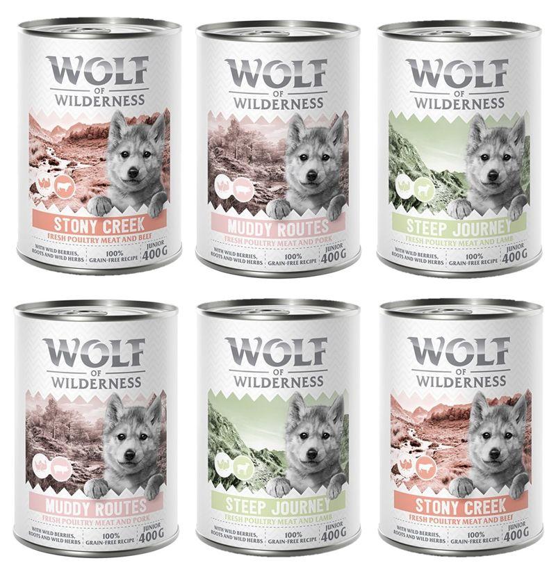 Bitiba Provalo Wolf of Wilderness Junior umido per cane Nuovo