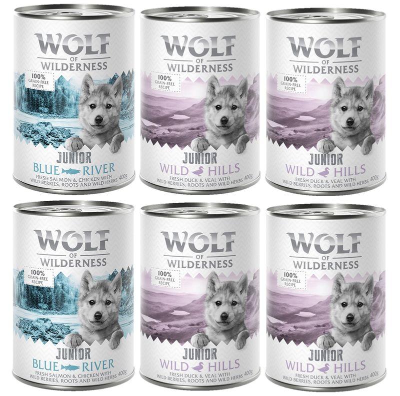 Bitiba Provalo Wolf of Wilderness Junior umido per cane Nuovo