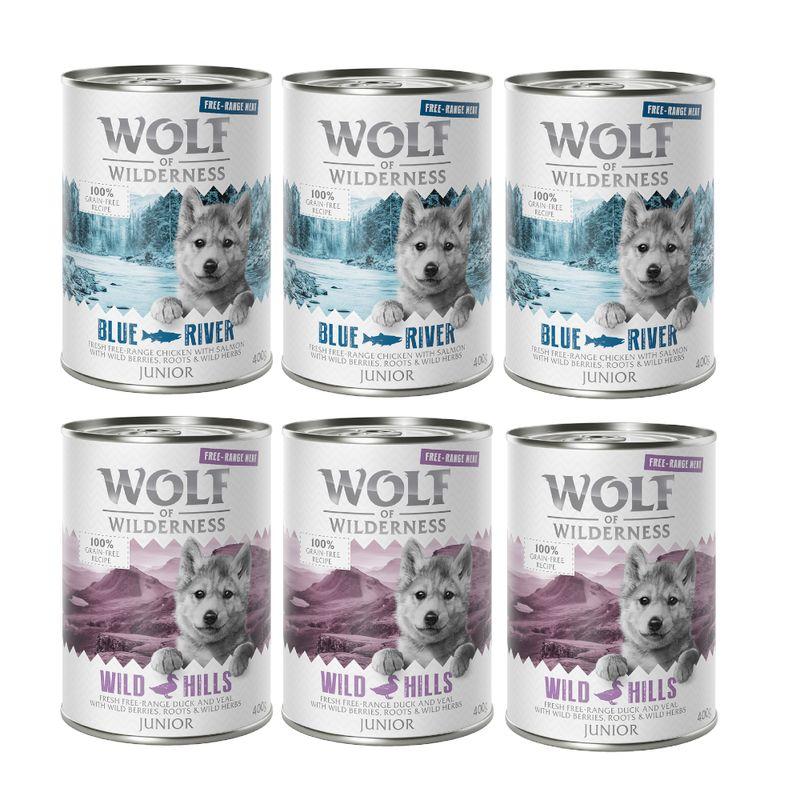 Bitiba Provalo Wolf of Wilderness Junior umido per cane Nuovo