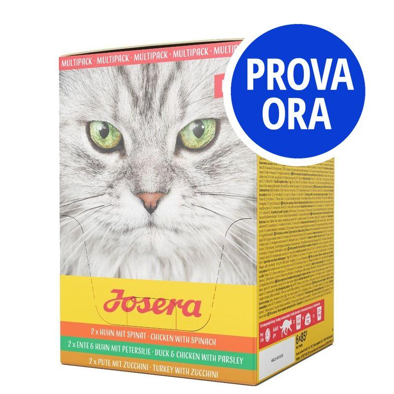 Bitiba Provalo Paté Josera misto Outlet