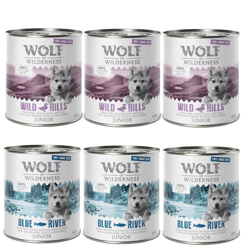 Bitiba Wolf of Wilderness Pacco misto 6 x 800 g umido per cane Moda