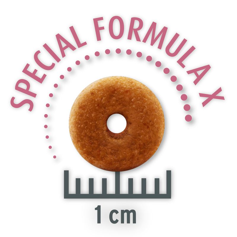 Bitiba Provalo 400 g Concept for Life Crocchette per gatto Sconto di tempo limitato