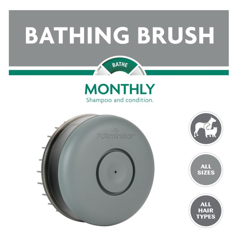 Bitiba FURminator Bathing Brush Vendite stagionali