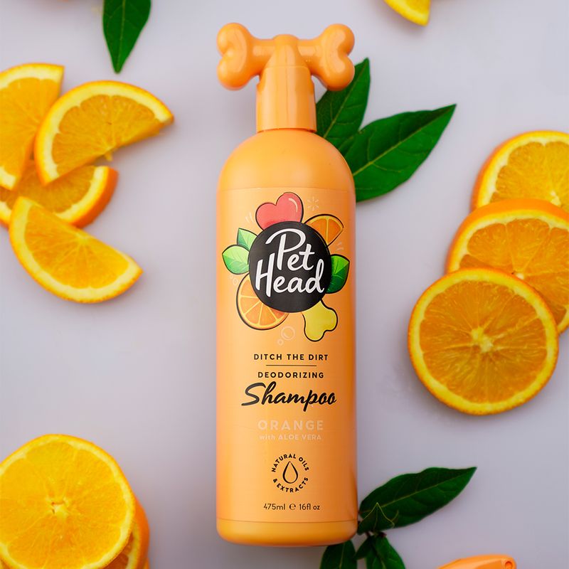 Bitiba Pet Head Shampoo Ditch The Dirt Offerte esclusive