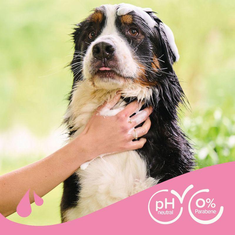 Bitiba Beaphar Shampoo antinodi per cani Comprane uno, ottenene uno gratis