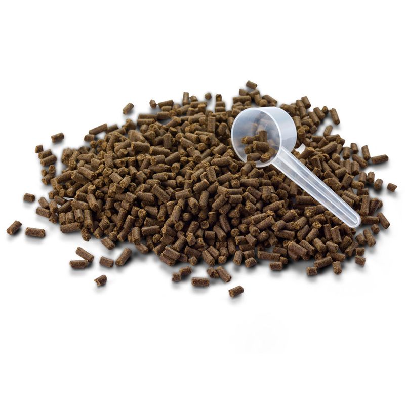 Bitiba LUPO Pellet di erbette aromatiche Offerte giornaliere