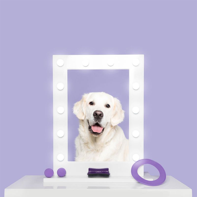 Bitiba Spazzola Pet Teezer De-shedding Brush Fino al 60% di sconto