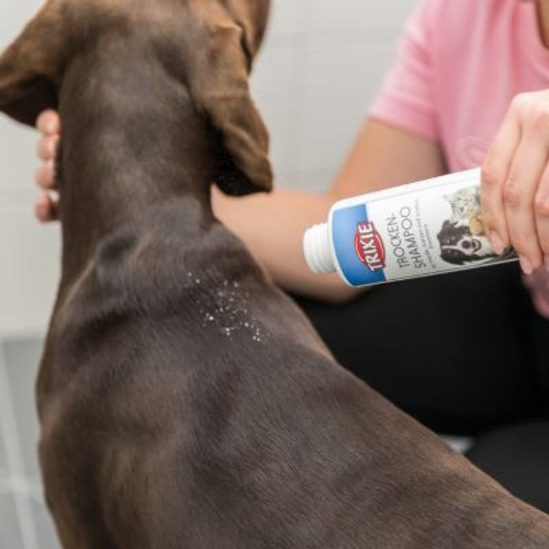 Bitiba Trixie Shampoo secco per cani Officina