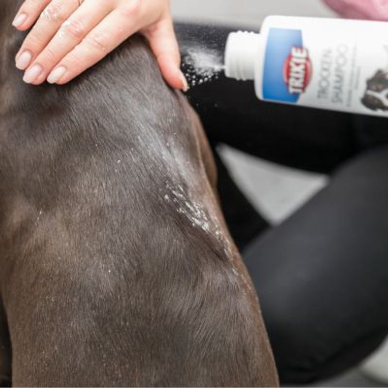 Bitiba Trixie Shampoo secco per cani Officina