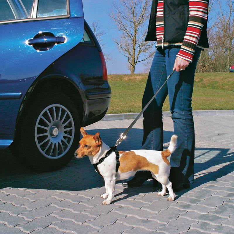 Bitiba Guinzaglio corto per auto Trixie Friends on Tour Limitato a 3 giorni