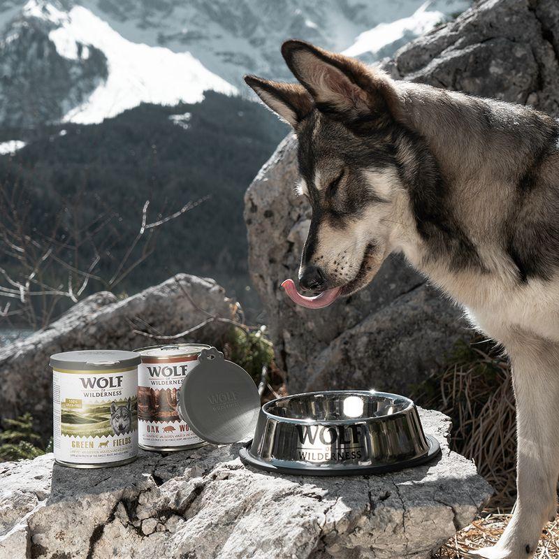 Bitiba Coperchio per lattine Wolf of Wilderness Black Friday Prezzi