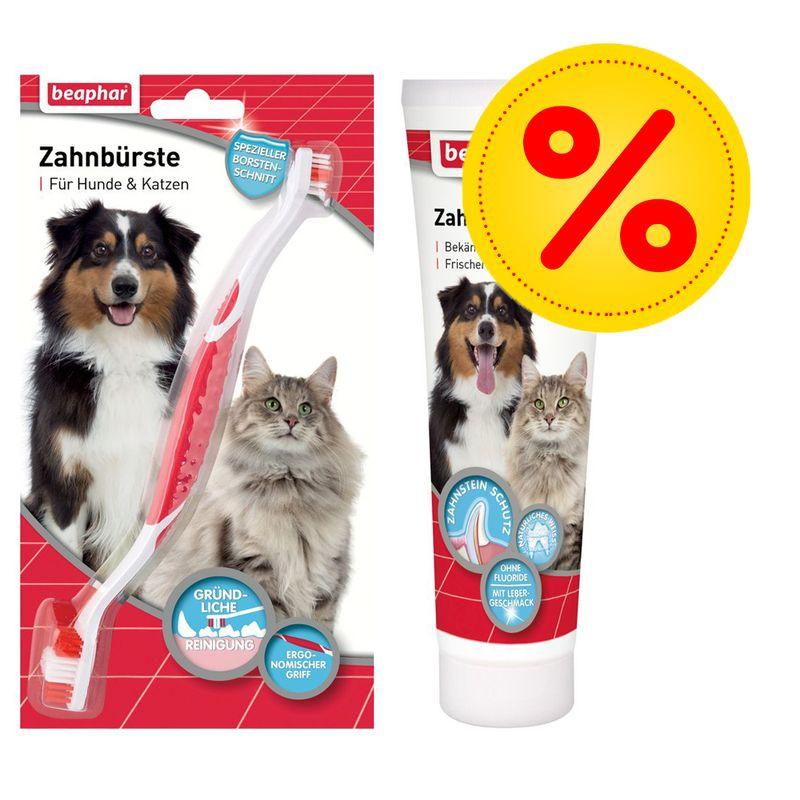 Bitiba Set beaphar per igiene orale di cani e gatti Qualità Garantita