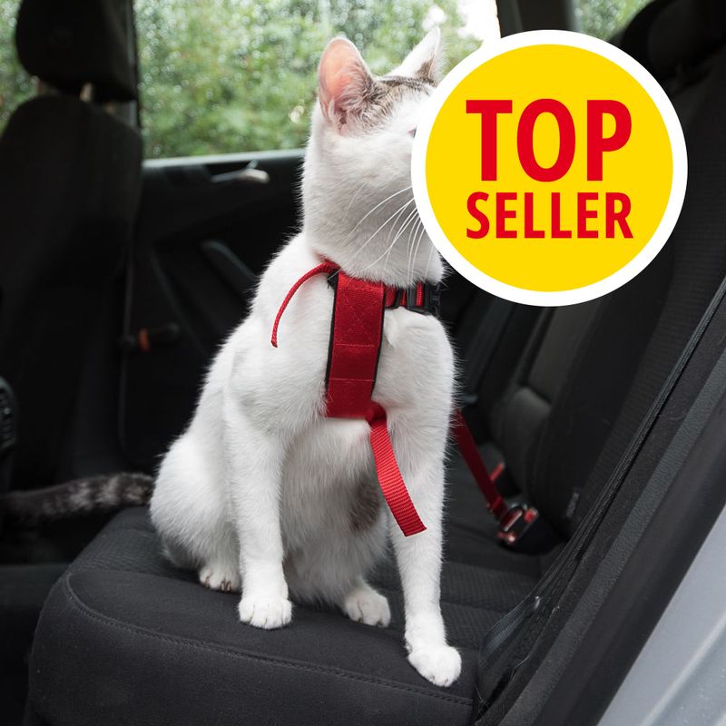 Bitiba Pettorina da automobile per gatti Trixie Negozi Online